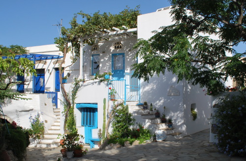 tinos-website2