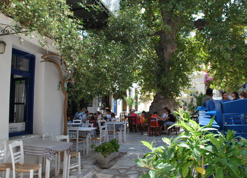 tinos-website5